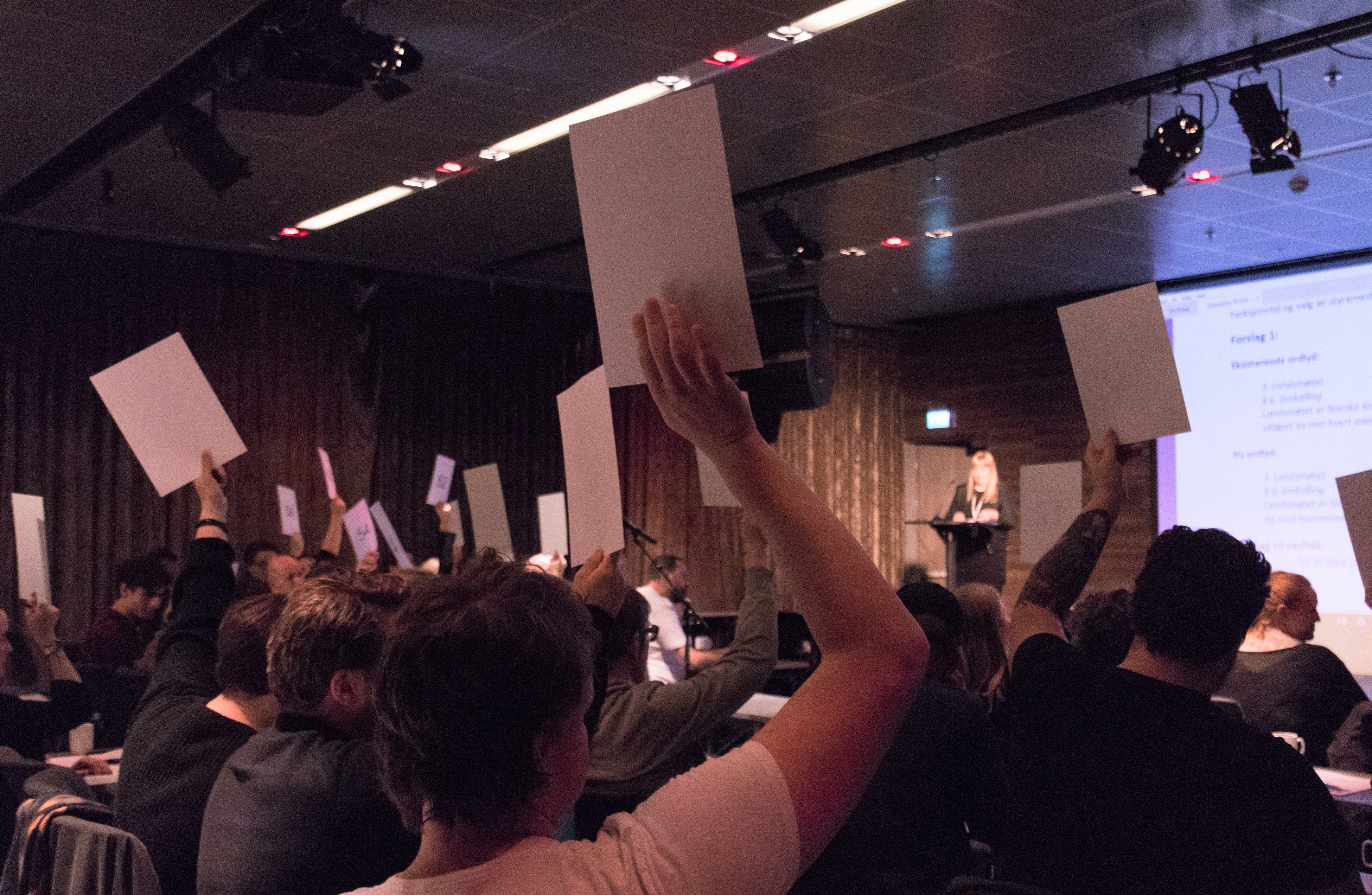 Illustrasjonsbilde fra NKAs landsmøte i 2017. Foto: Ida Hermine Wikøren.