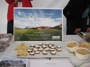 Parken _-_Kjerringoey